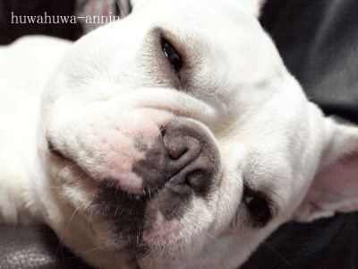 f0155120_2046792.gif