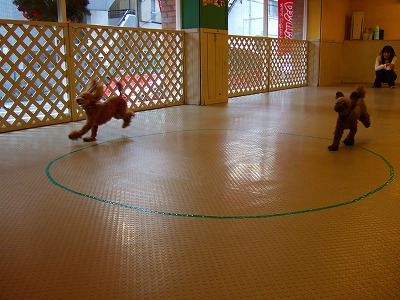 d0023323_2371743.jpg