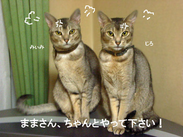 d0081025_20221765.jpg