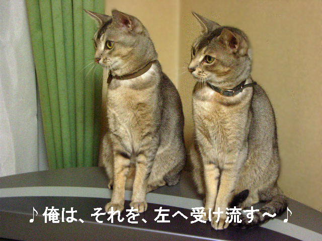 d0081025_2075689.jpg