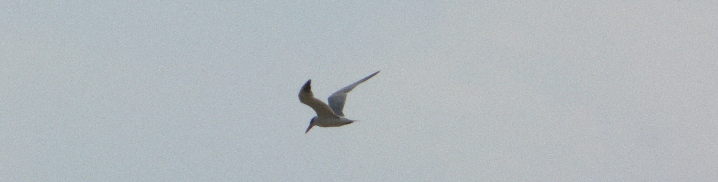 f0084825_1983457.jpg