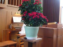 c0139527_20115248.jpg