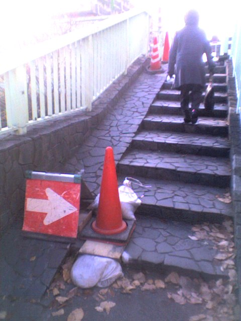 d0009828_9191831.jpg