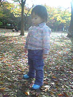 e0121228_16154021.jpg