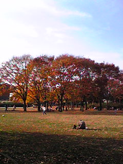 e0121228_16163333.jpg