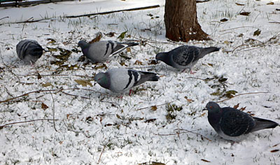 a0046429_20114257.jpg