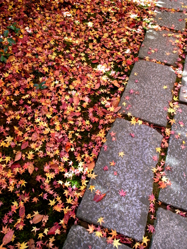 c0077129_21415167.jpg