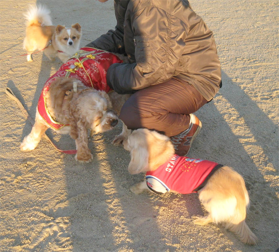 c0117831_19243526.jpg