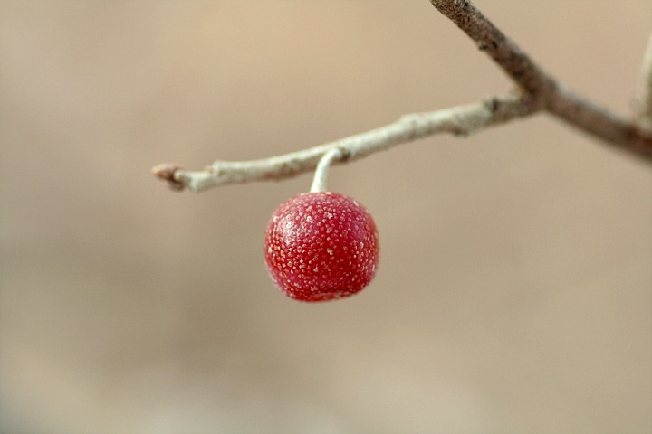 d0012134_23492752.jpg
