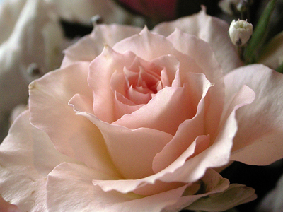 a0097735_035126.jpg
