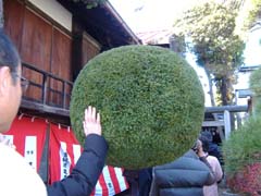 a0005436_16211616.jpg