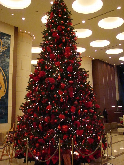a0046339_12484715.jpg