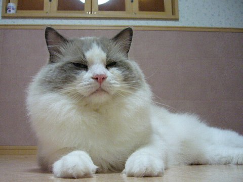 a0062240_1633777.jpg