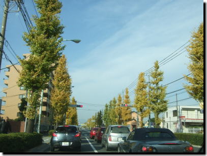 12月2日ルート16