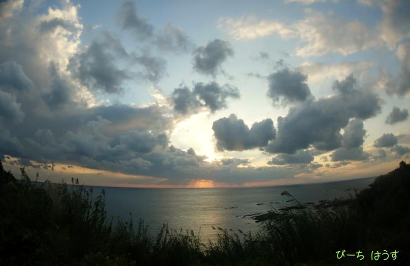 a0095546_140714.jpg
