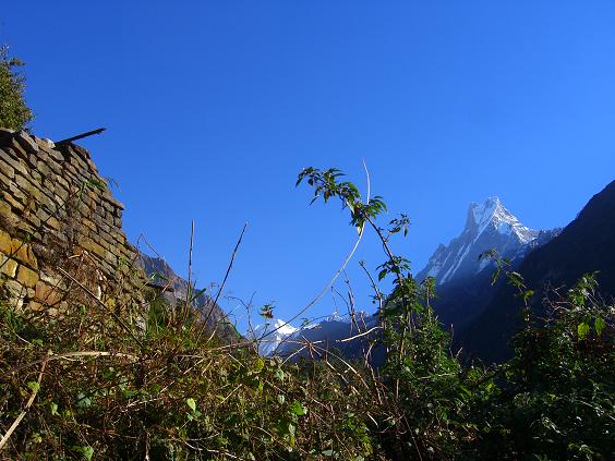 b0001947_23482354.jpg