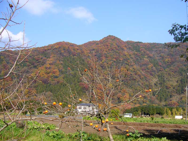 d0014748_19293525.jpg