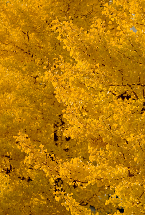 d0101050_1881577.jpg