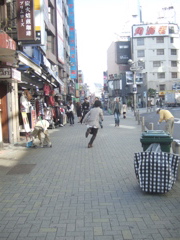 f0156452_2285347.jpg