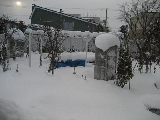 a0075455_8351127.jpg