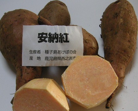 f0082855_17565697.jpg