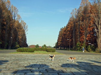 b0045357_13412692.jpg
