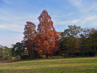 b0045357_13422472.jpg