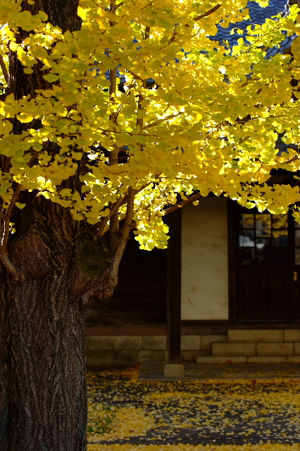 f0119863_1473268.jpg