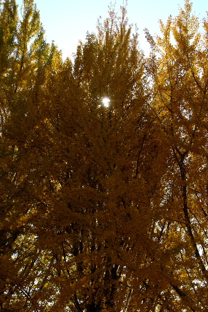 f0119863_147573.jpg