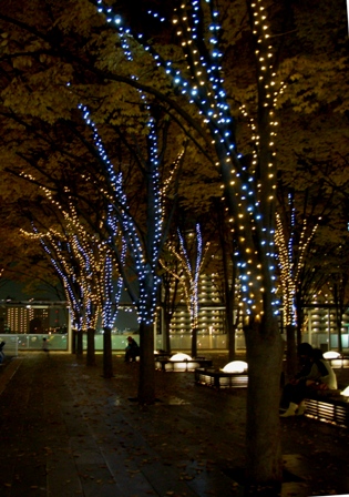 f0065768_23335722.jpg