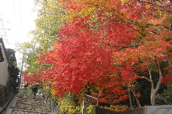f0089568_14393851.jpg