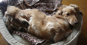 f0089568_14401723.jpg