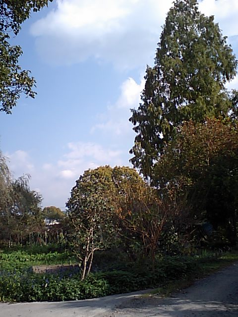 f0134769_1115366.jpg