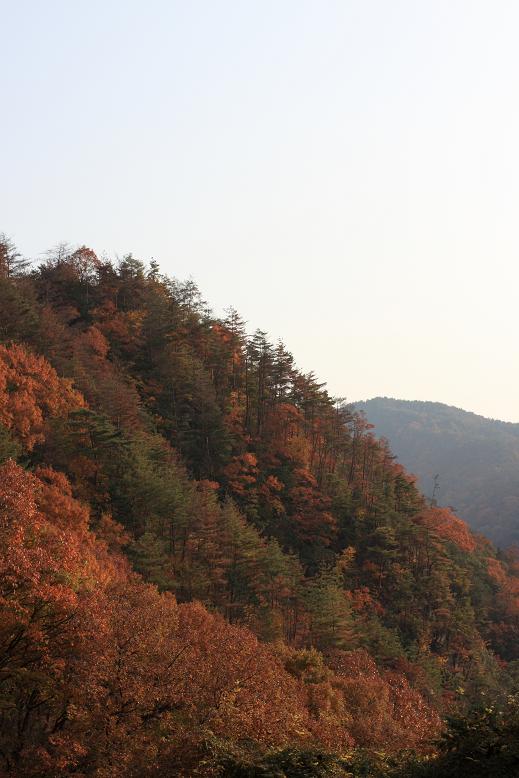 c0153672_2237060.jpg