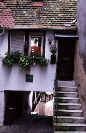 d0045372_22151851.jpg