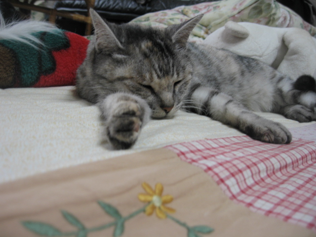 d0070473_9345980.jpg
