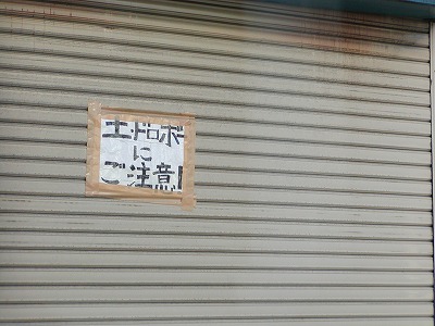c0131478_20513751.jpg