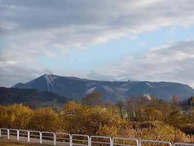 c0131478_20515424.jpg