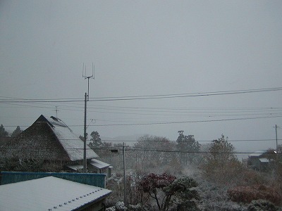 c0131478_2053520.jpg