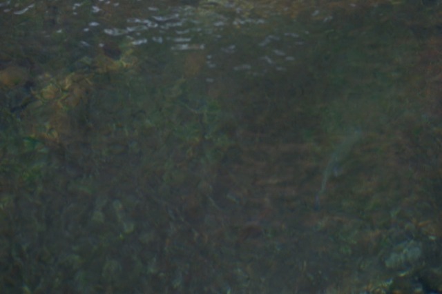 d0079278_1811404.jpg