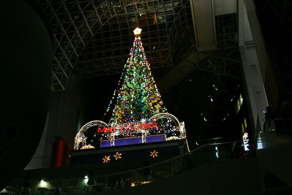 b0003280_21505151.jpg