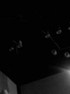 f0100480_1851097.jpg