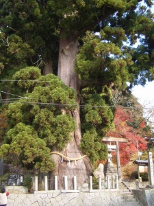 f0118282_2135659.jpg