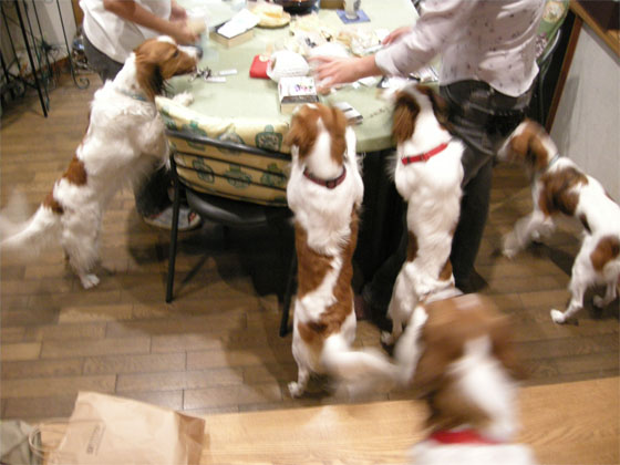d0001985_22224093.jpg