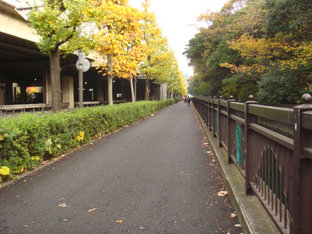 b0055786_22285251.jpg