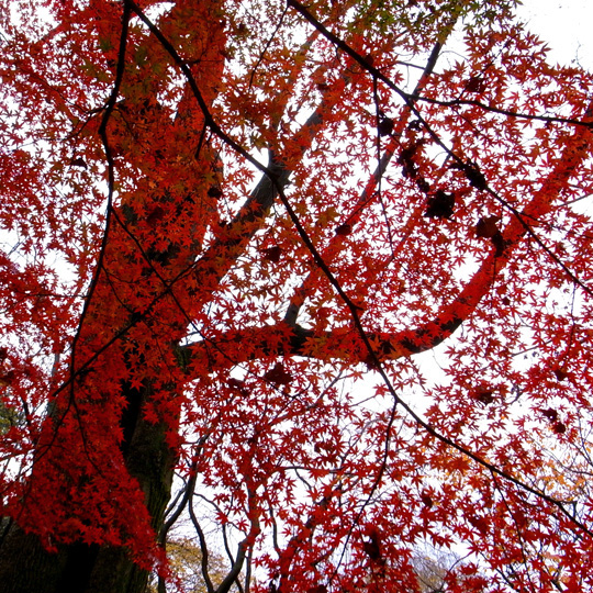 b0067789_16451360.jpg