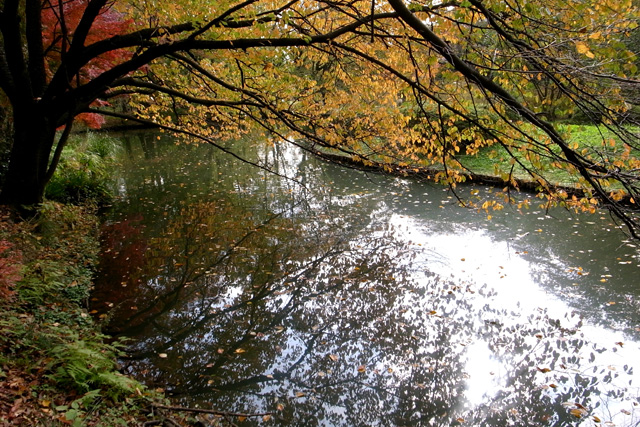 b0067789_16463328.jpg