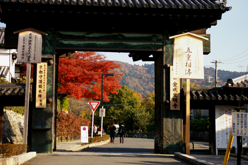 b0080789_11381526.jpg