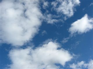 e0121589_1758389.jpg