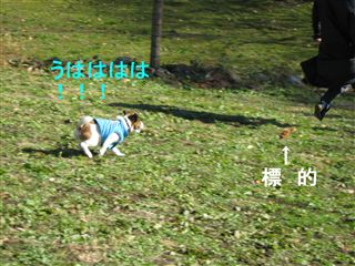 e0121589_180417.jpg